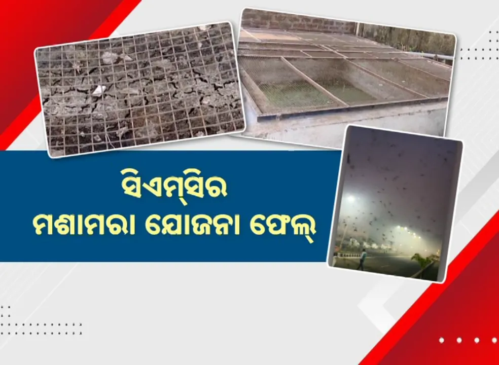  CMC Photograph: (KANAK NEWS) 