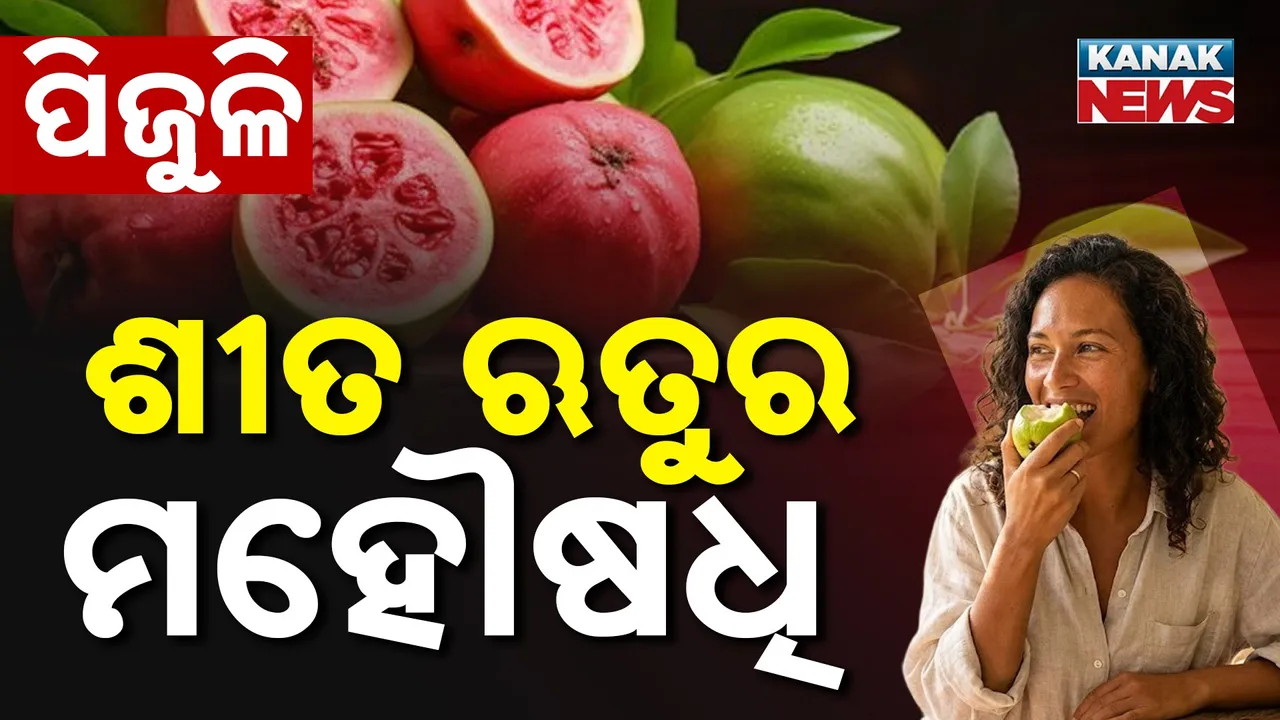  Guava Photograph: (kanak news) 