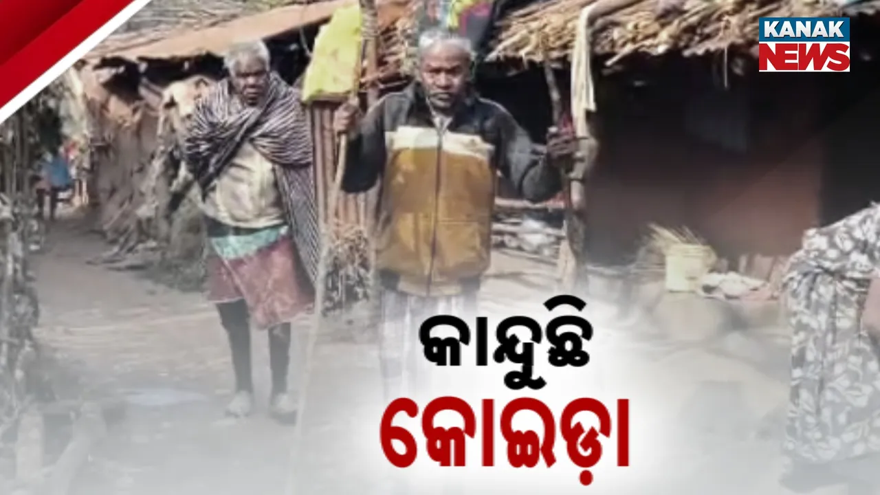  Koida Photograph: (kanak news) 