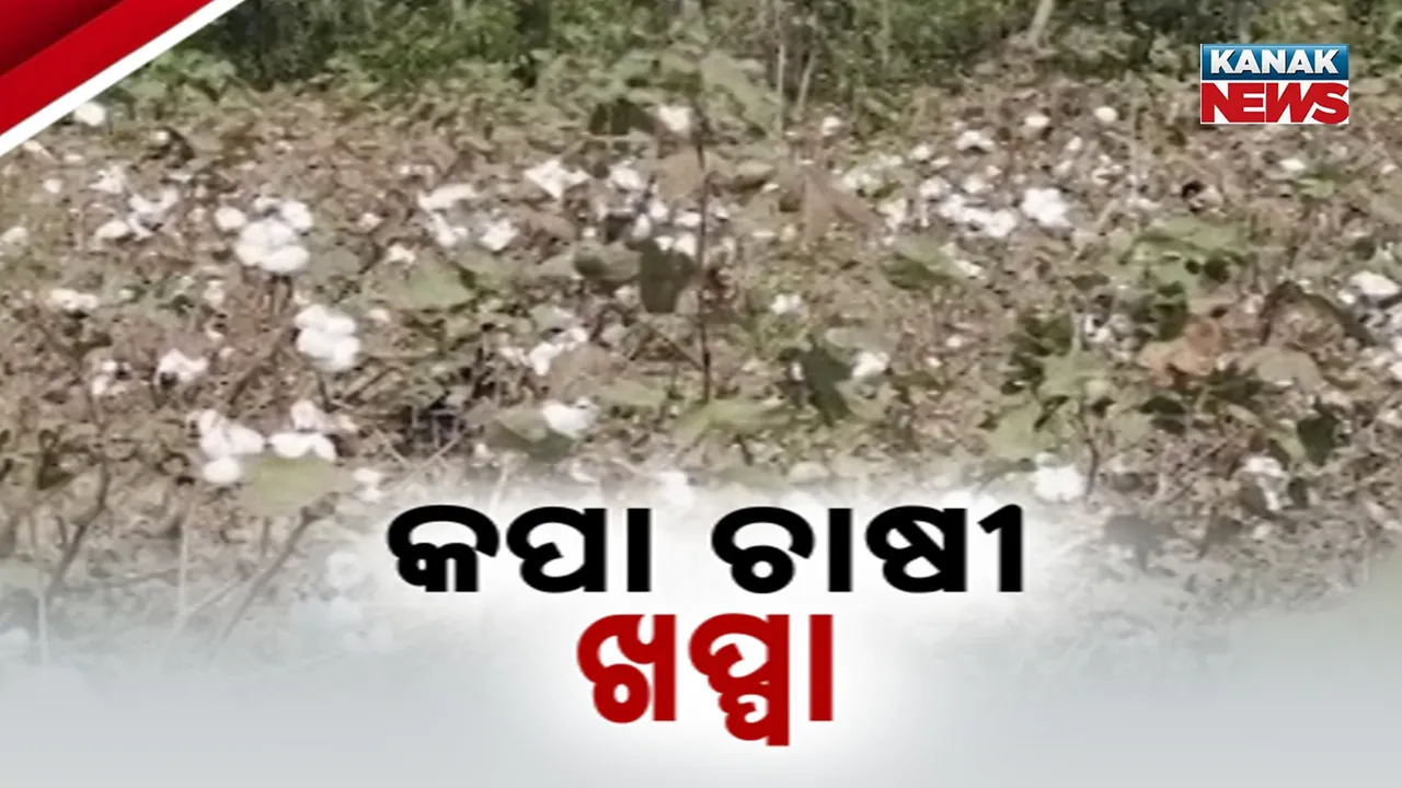  Farmer Photograph: (kanak news) 