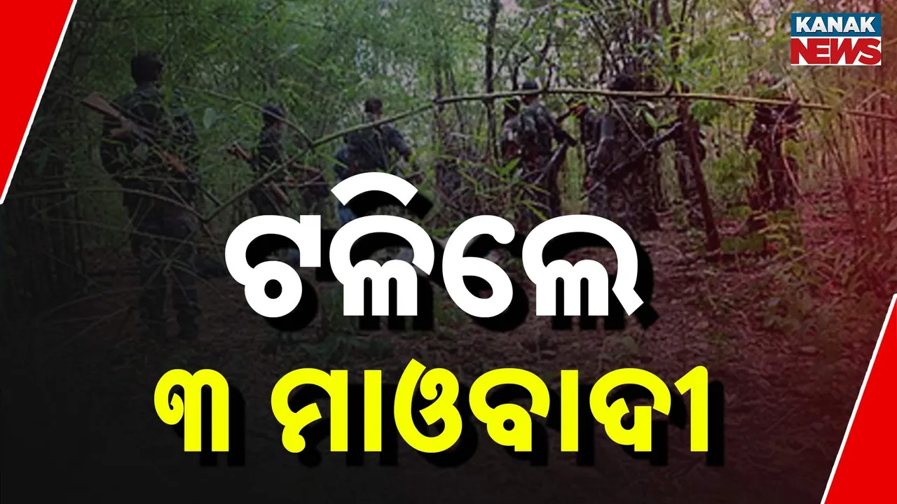 Maoists Photograph: (Kanak News) 