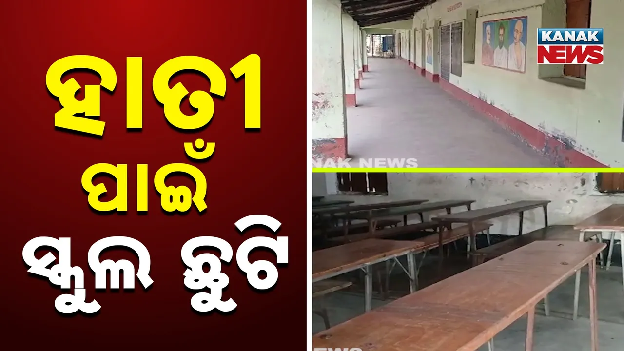  ବାଲେଶ୍ୱର ନୂଆସାହି ପୂର୍ବପଦ ଗାଁରେ ହାତୀ ଆତଙ୍କ, ୧୦ ଟି ସ୍କୁଲ ପାଇଁ ଛୁଟି ଘୋଷଣା କଲେ ଜିଲ୍ଲାପାଳ
