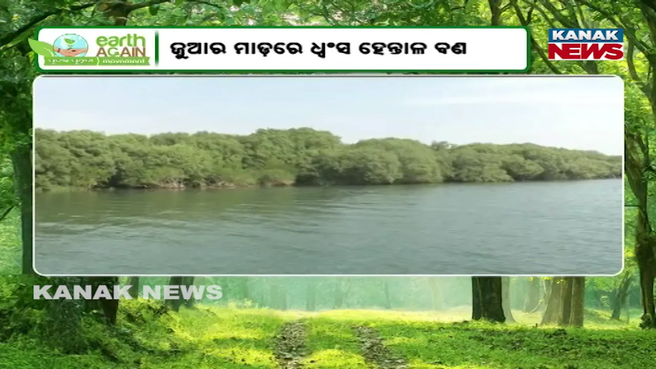  punascha pruthibi Photograph: (KanakNews) 