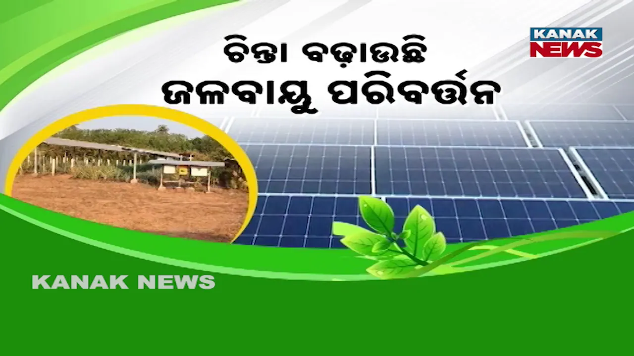  punascha pruthibi Photograph: (Kanaknews) 