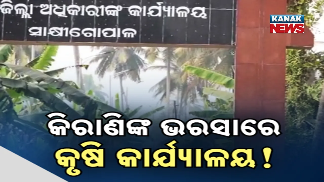  ଚାଷ ଓ ଚାଷୀଙ୍କୁ ହତାଧର, କିରାଣିଙ୍କ ଭରସାରେ ଚାଲିଛି କୃଷି କାର୍ଯ୍ୟାଳୟ