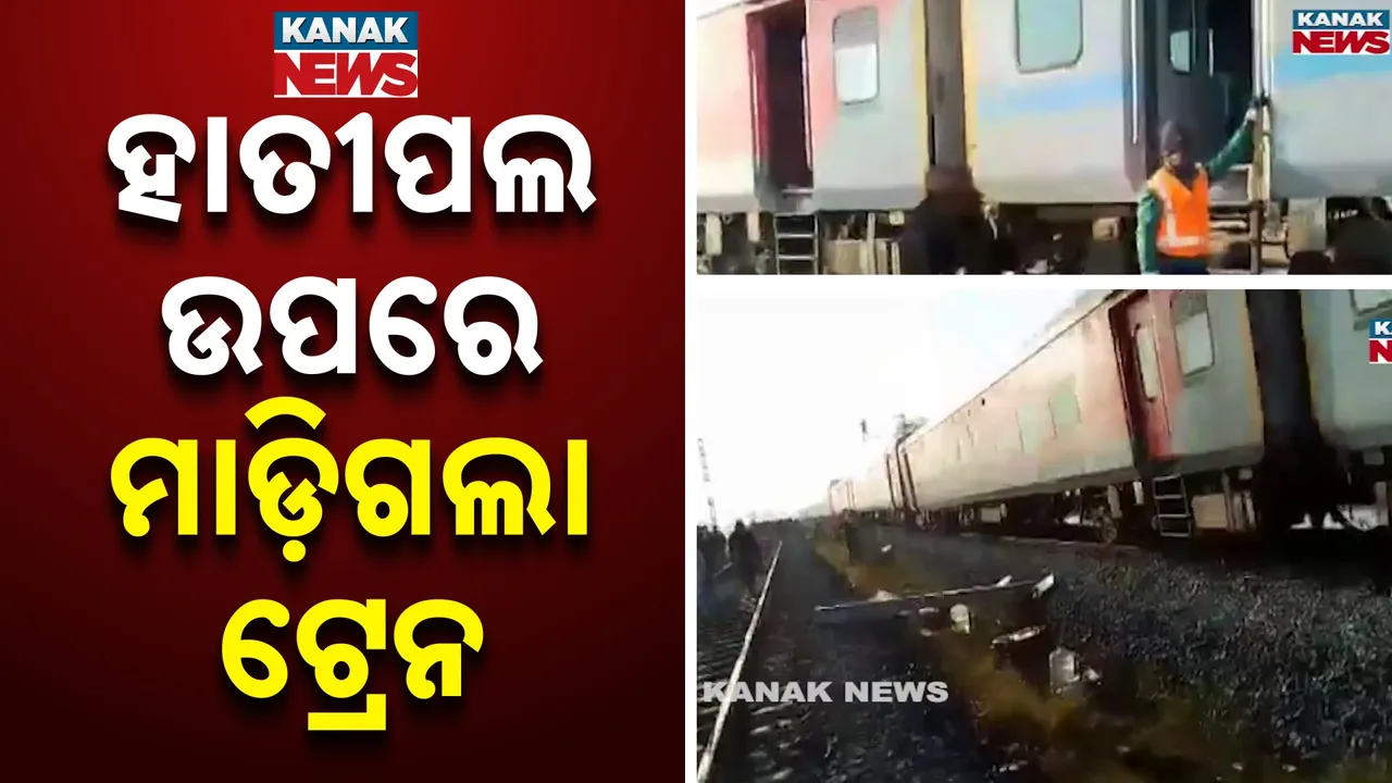  Elephant killed Photograph: (KanakNews) 