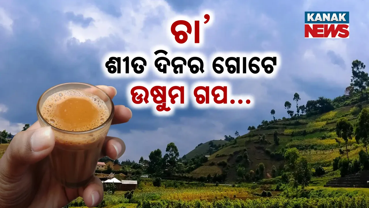  TEA AND WINTER Photograph: (kanak news) 