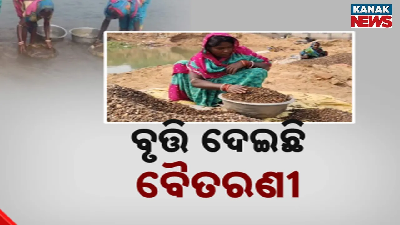  Baitarani Photograph: (kanak news) 