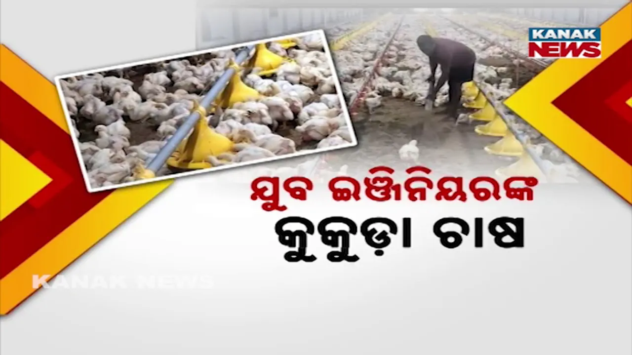  kukuda farm Photograph: (KanaKNews) 