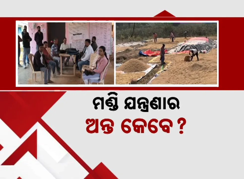  Paddy Procurement Photograph: (Kanak News) 