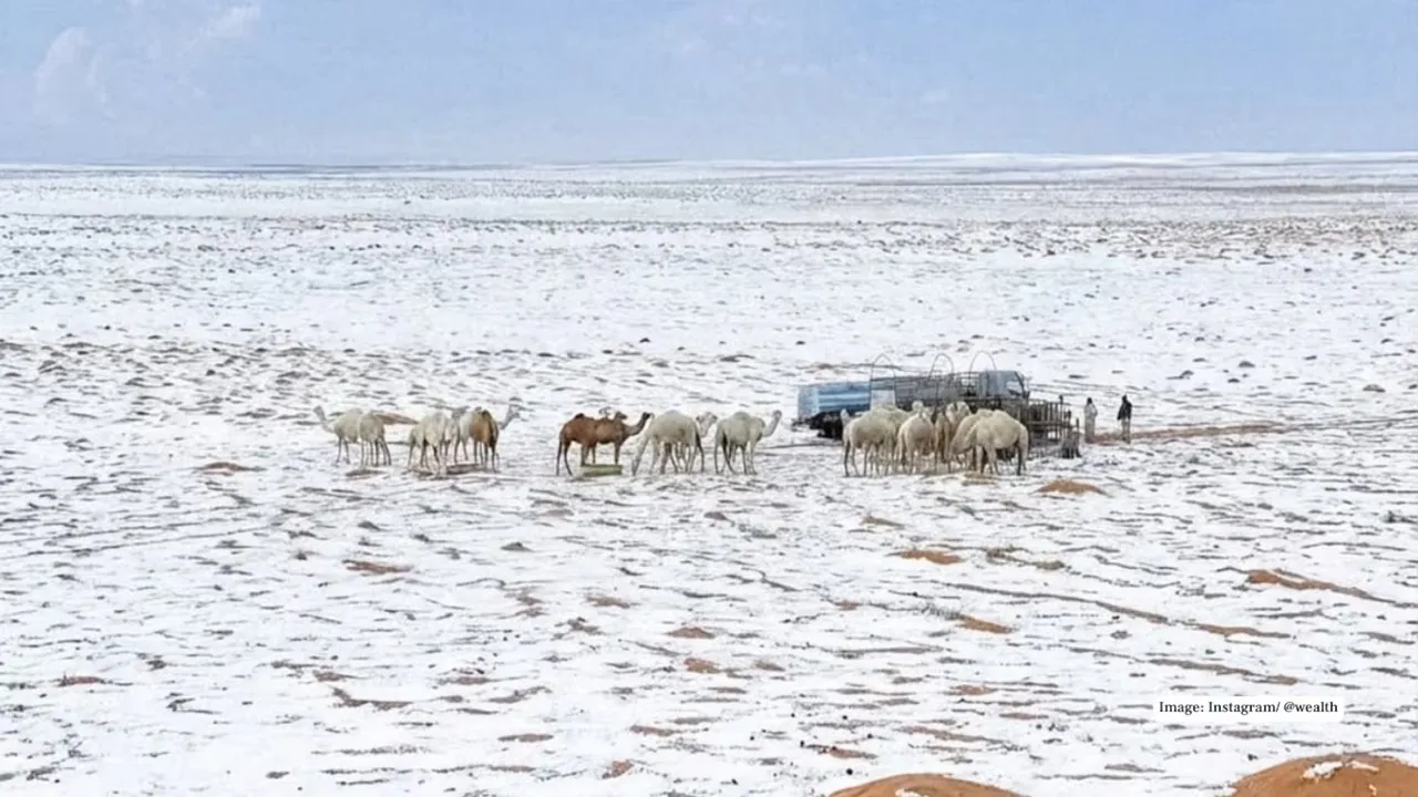 SNOWFALL Photograph: (KANAK NEWS) 