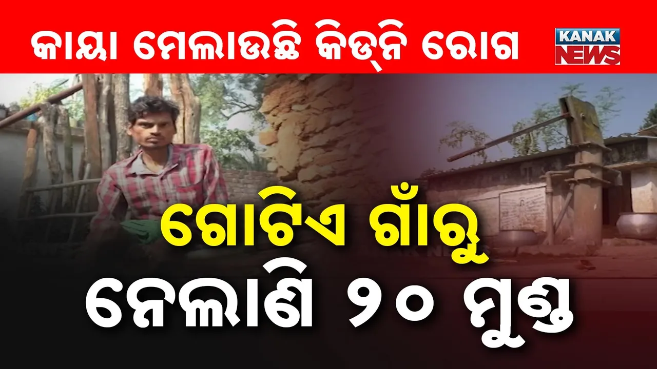  Kidney Photograph: (kanak news) 