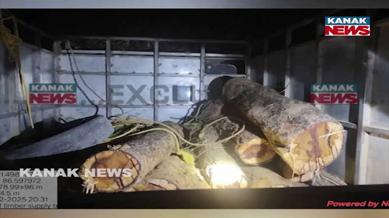  wood theft Photograph: (KanakNews) 