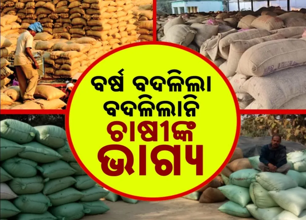  ବର୍ଷ ବଦଳିଲା, ବଦଳିଲାନି ଚାଷୀଙ୍କ ଭାଗ୍ୟ, ଟୋକନ ଅଭାବରେ ଅଟକିଲା ଧାନ ବିକ୍ରି