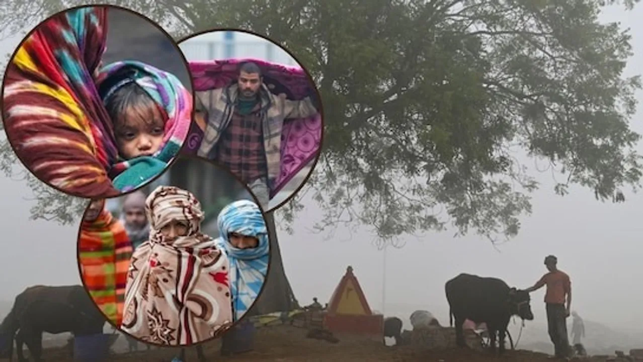  severe-cold Photograph: (google) 