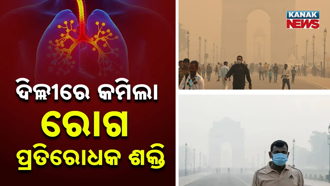  Delhi Pollution Photograph: (Kanak News) 