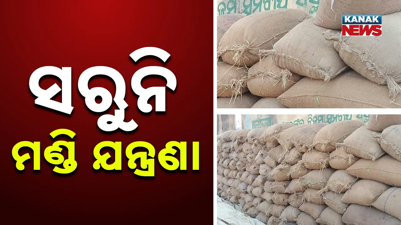  Mandi Photograph: (kanak news) 