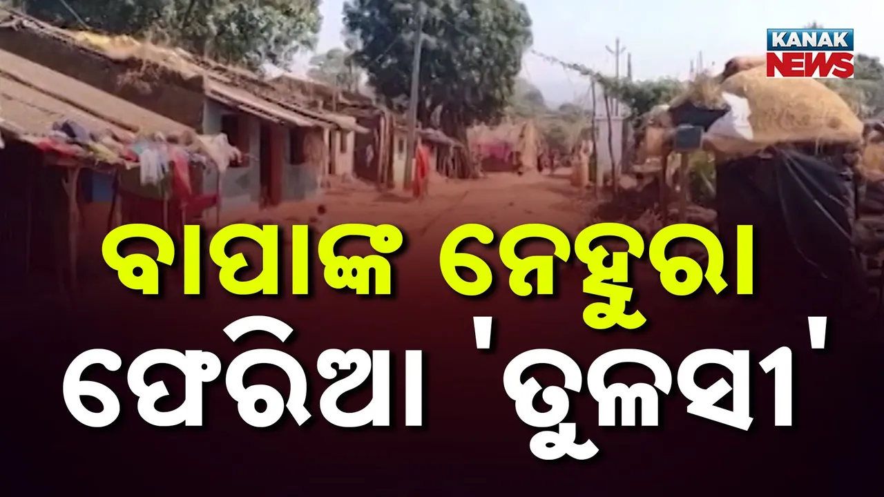  Tulsi khara Photograph: (KanakNews) 