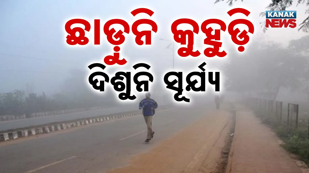 Fog odisha Photograph: (KanakNews) 