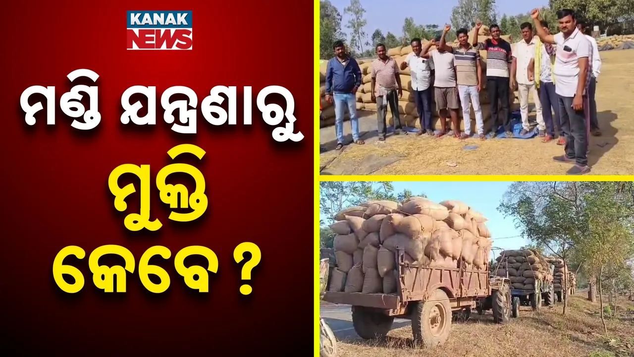  Paddy Procurement Photograph: (Kanak News) 