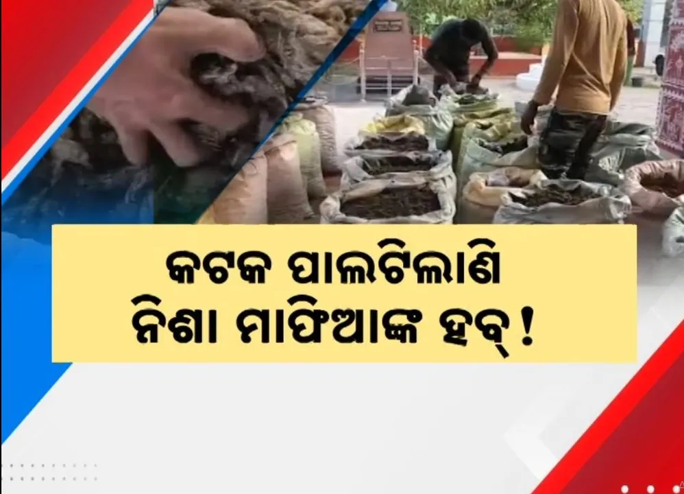  କଟକ ପାଲଟିଲାଣି ନିଶା ମାଫିଆଙ୍କ ହବ୍ ! ବାଂଲାଦେଶରୁ ବାଲେଶ୍ୱର ଭାୟା କୋଲକାତା
