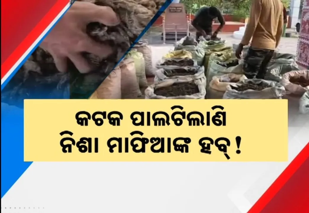  କଟକକୁ ଲମ୍ବିଲାଣି ନିଶା କାରବାରର ଚେର, ବାଂଲାଦେଶରୁ ଭାୟା କୋଲକାତା ଏବଂ ବାଲେଶ୍ୱର ଦେଇ କଟକ ଆସୁଛି ବ୍ରାଉନ ସୁଗାର