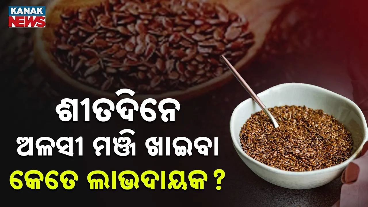  flax-seeds Photograph: (KanakNews) 
