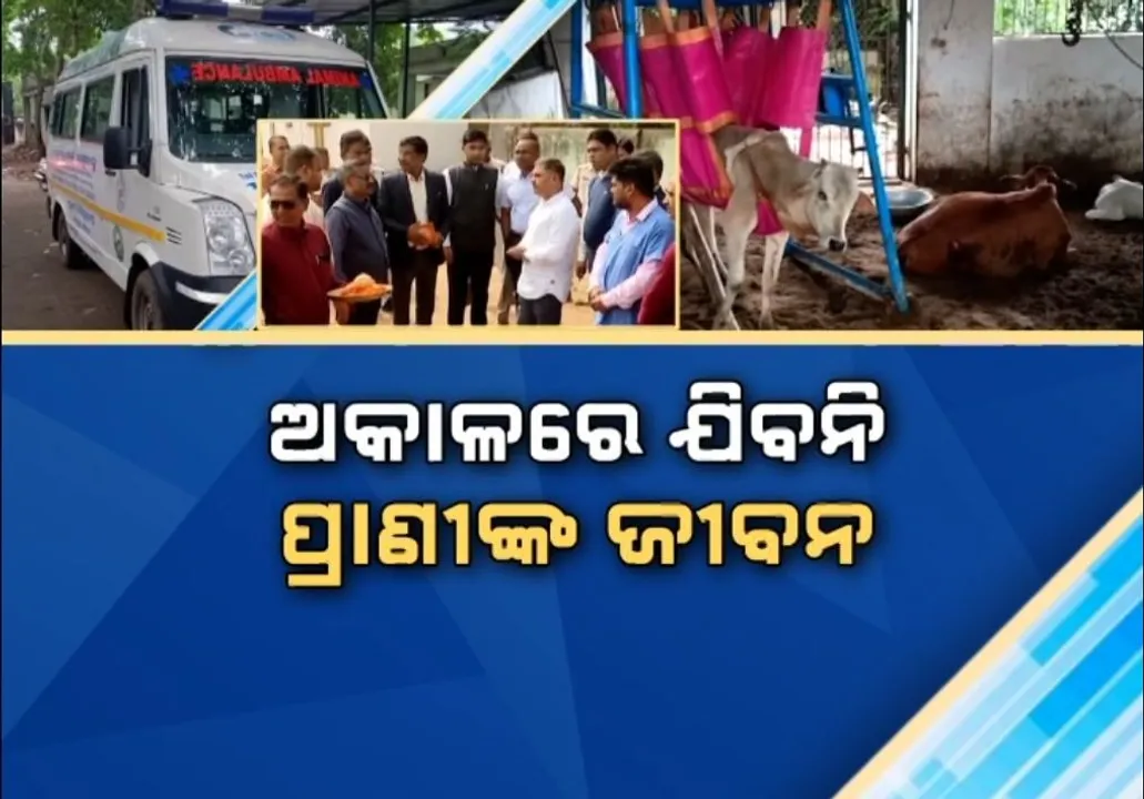  ଅକାଳରେ ଯିବନି ପଶୁଙ୍କ ଜୀବନ, ବ୍ରହ୍ମପୁରରୁ ଆରମ୍ଭ ହେଲା ୨୪ ଘଣ୍ଟିଆ ଆନିମଲ ଆମ୍ବୁଲାନ୍ସ ସେବା