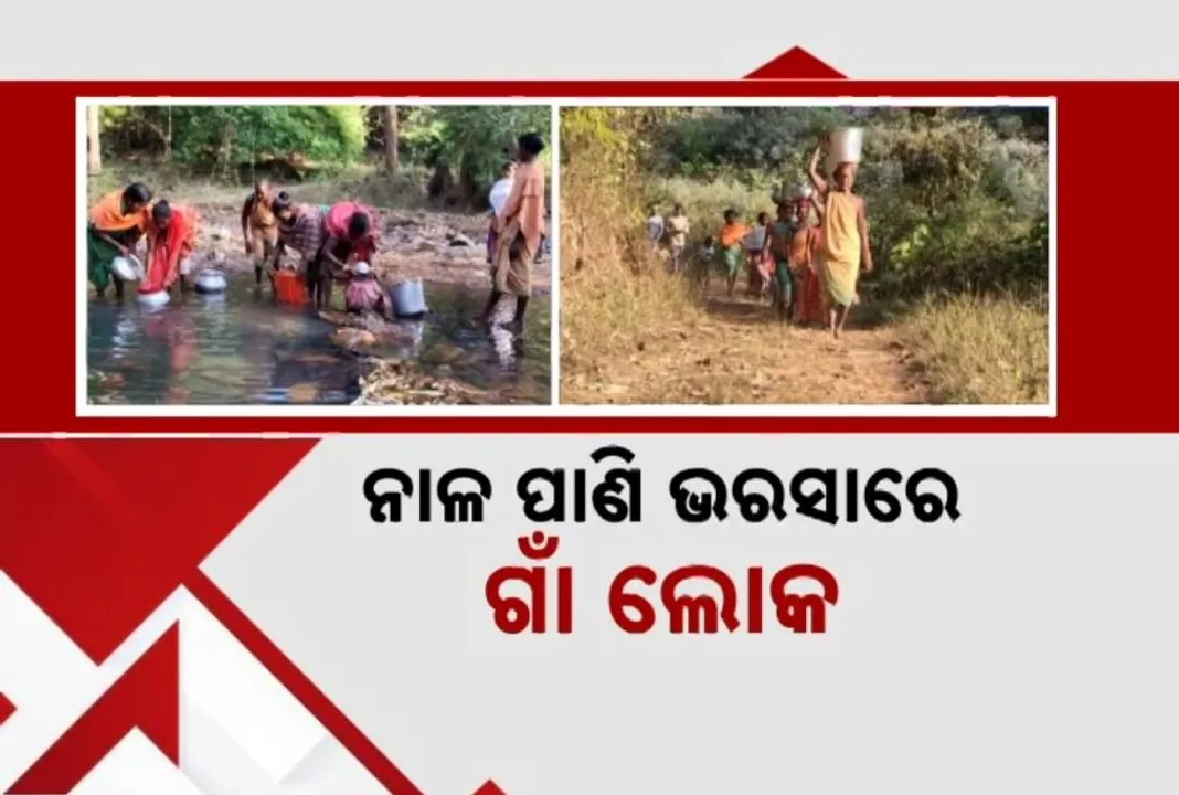  କିଏ ବୁଝିବ ଉପାନ୍ତ ଲୋକଙ୍କ ଯନ୍ତ୍ରଣା ? ଦୁର୍ବିସହ ହୋଇପଡ଼ିଛି କୋରାପୁଟ ଗାଦବାଗୁଡ଼ା ଲୋକଙ୍କ ଜୀବନ