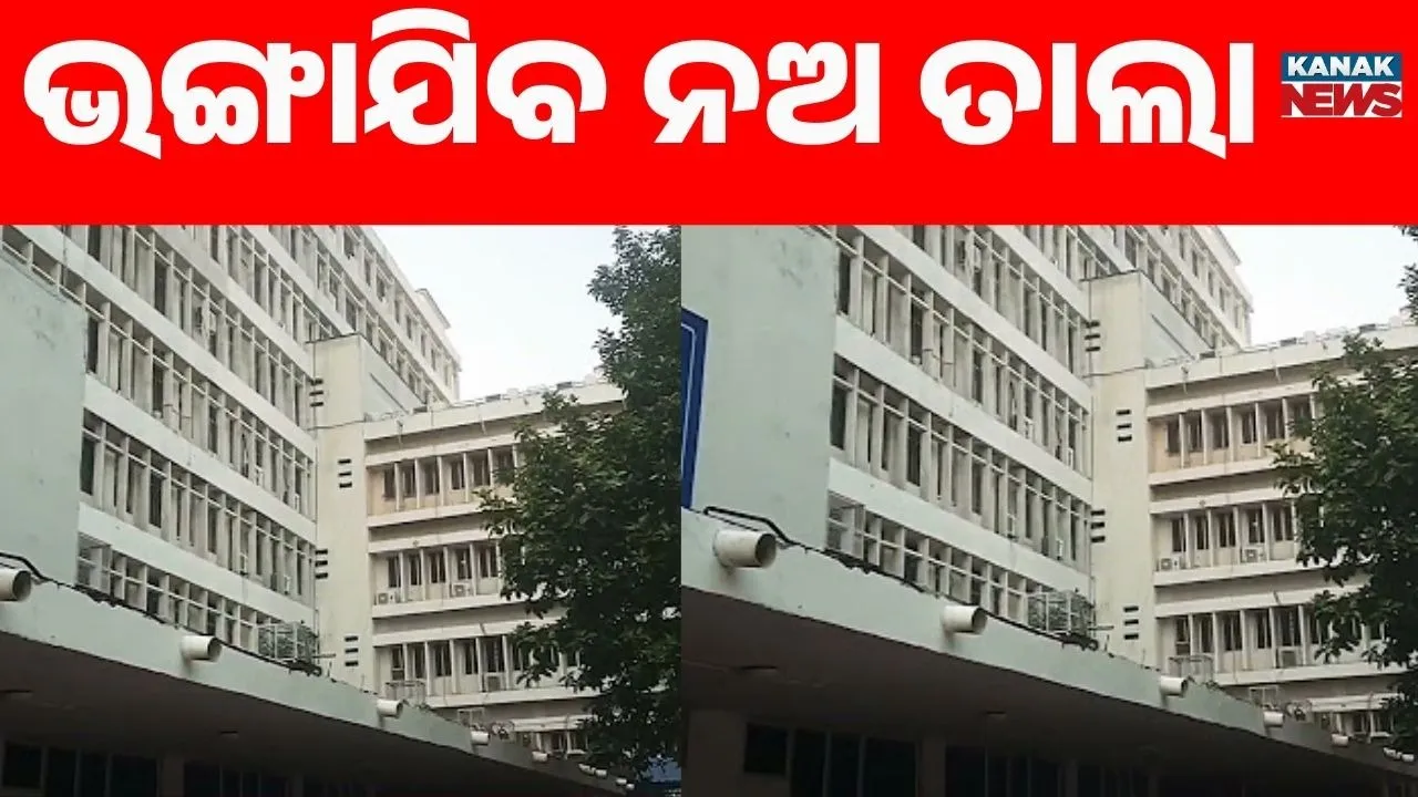  9 tala Photograph: (kanak news) 