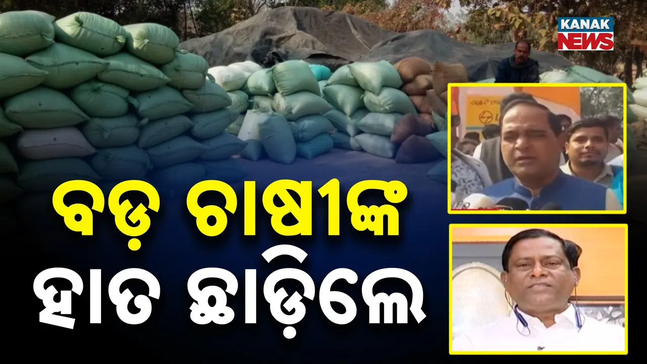  Paddy Growers Photograph: (Kanak News) 