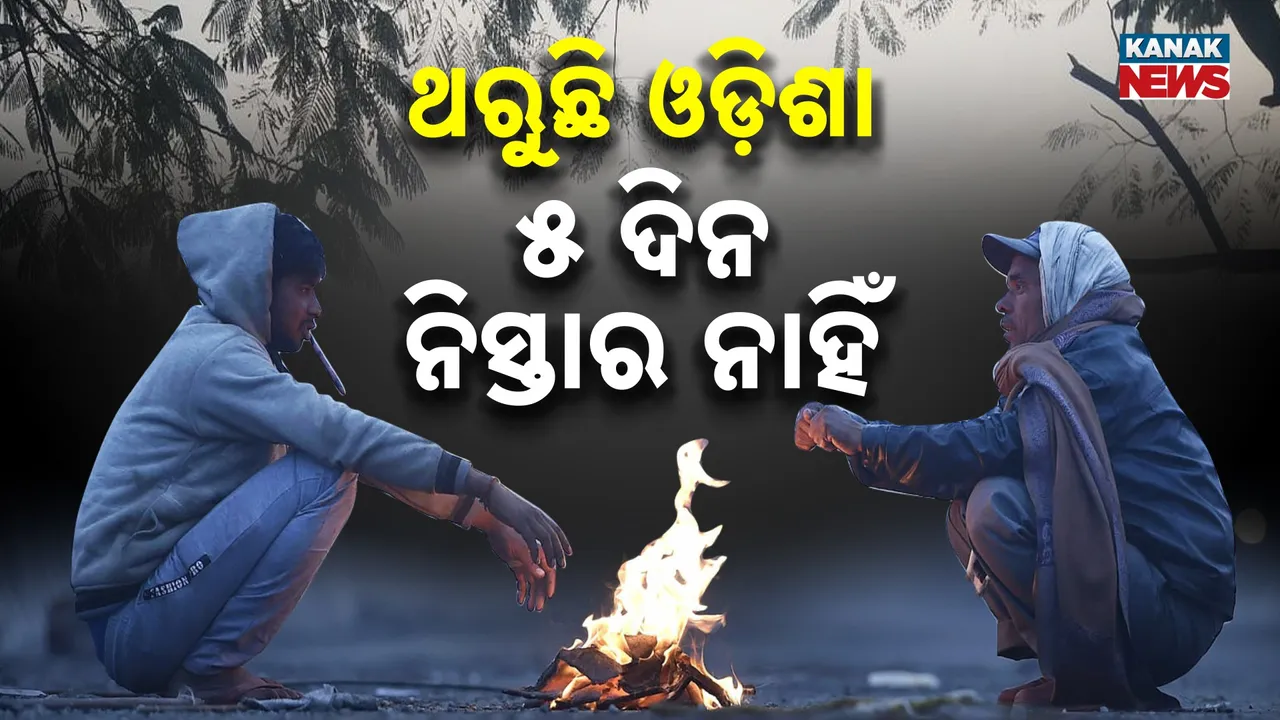  Cold Wave Photograph: (Kanak News) 