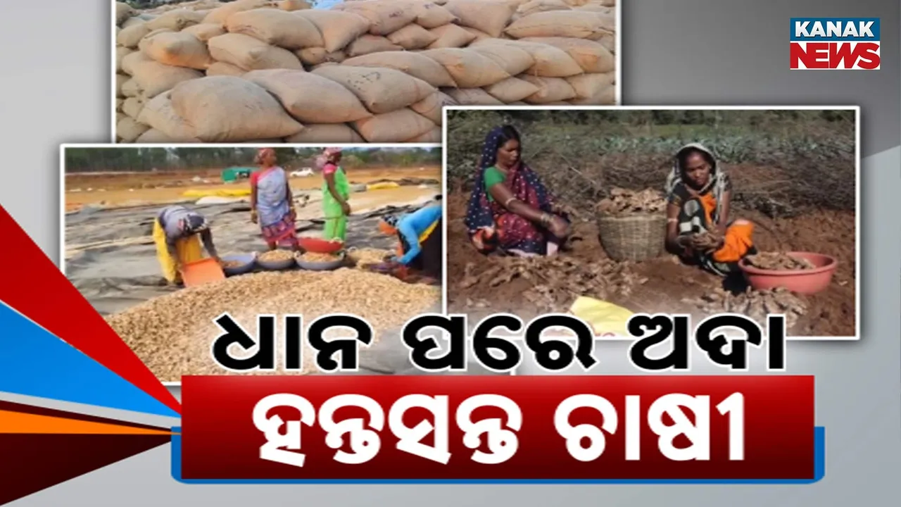  Farmer Problem Photograph: (Kanaknews) 