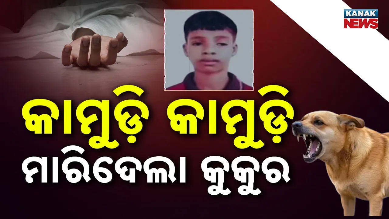  ଭତ୍ତା ଟଙ୍କା ନେଇ ଫେରୁଥିଲେ ଦିବ୍ୟାଙ୍ଗ ଛାତ୍ର, ବାଟରେ ଝୁଣି ଝୁଣି ମାରିଦେଲେ କୁକୁର