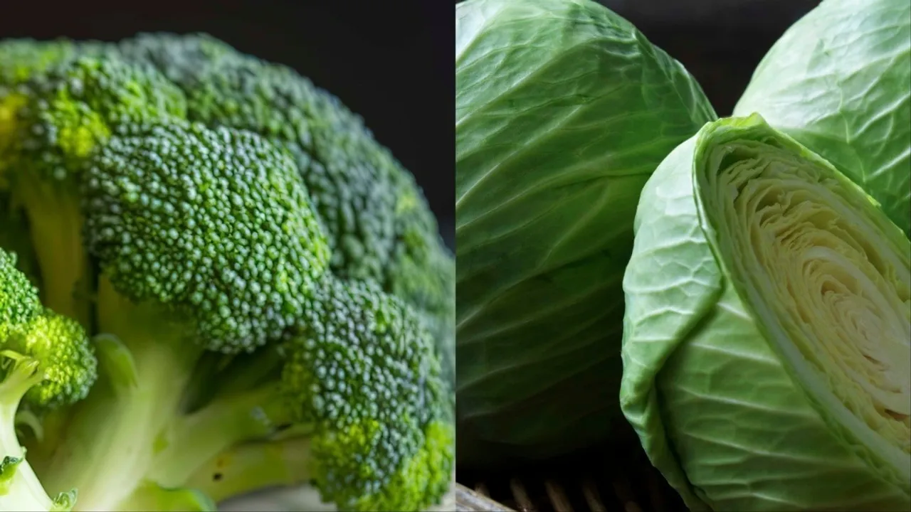 broccoli-vs-patta Photograph: (Google) 