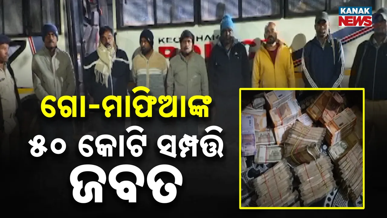  Cattle smuggling Photograph: (kanak news) 