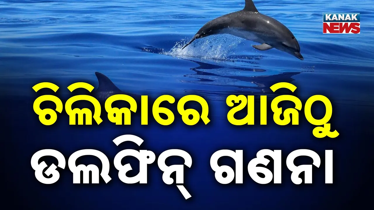  Photograph: (kanaknews) 