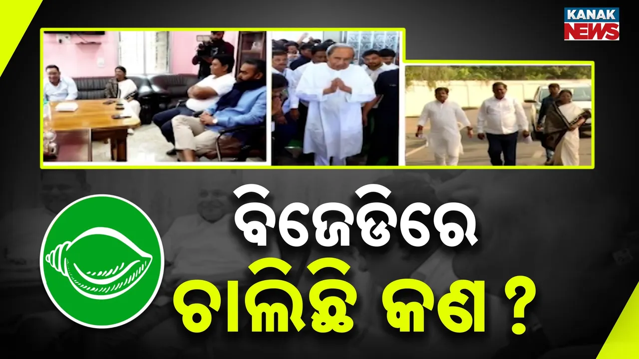  BJD Photograph: (Kanak News) 