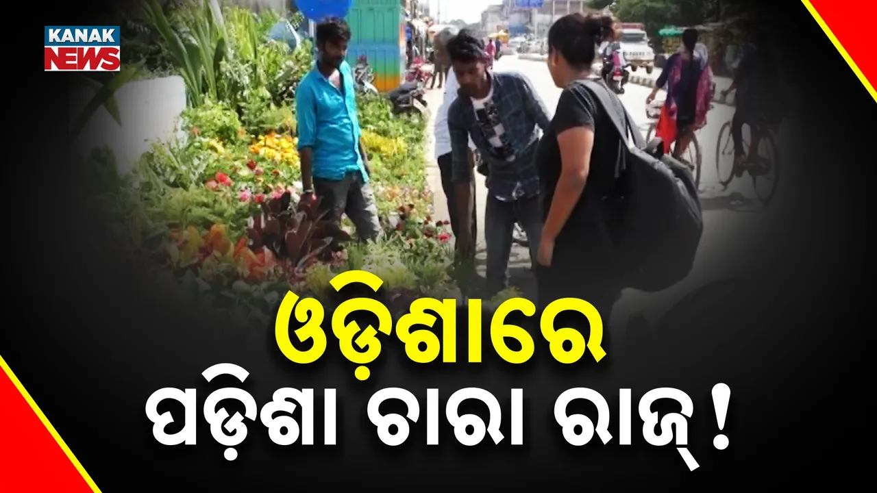  Flower Saplings Photograph: (Kanak News) 