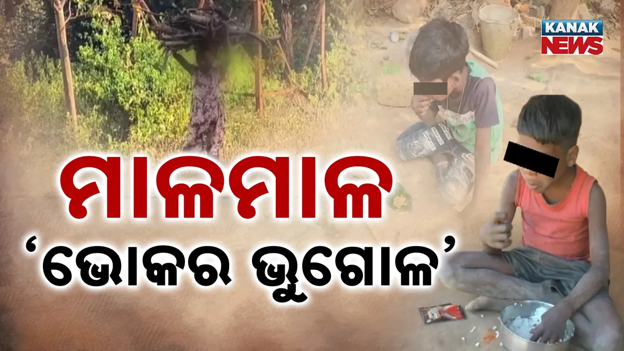  ବିକଶିତ ଓଡ଼ିଶାର ନକ୍ସା ଆଙ୍କୁଛନ୍ତି ରାଜ୍ୟ ସରକାର, ହେଲେ ରାଜ୍ୟର ବିଭିନ୍ନ ସ୍ଥାନରେ ରାଜୁତି କରୁଛି ଭୋକର ଭୂଗୋଳ