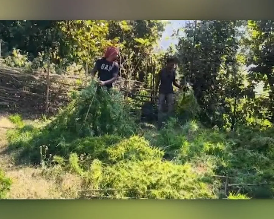  Photograph: (KANAKNEWS) 