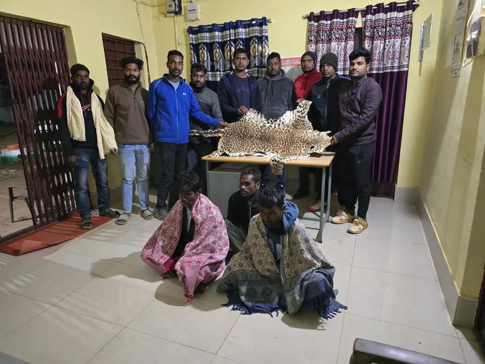  Tiger Photograph: (google) 