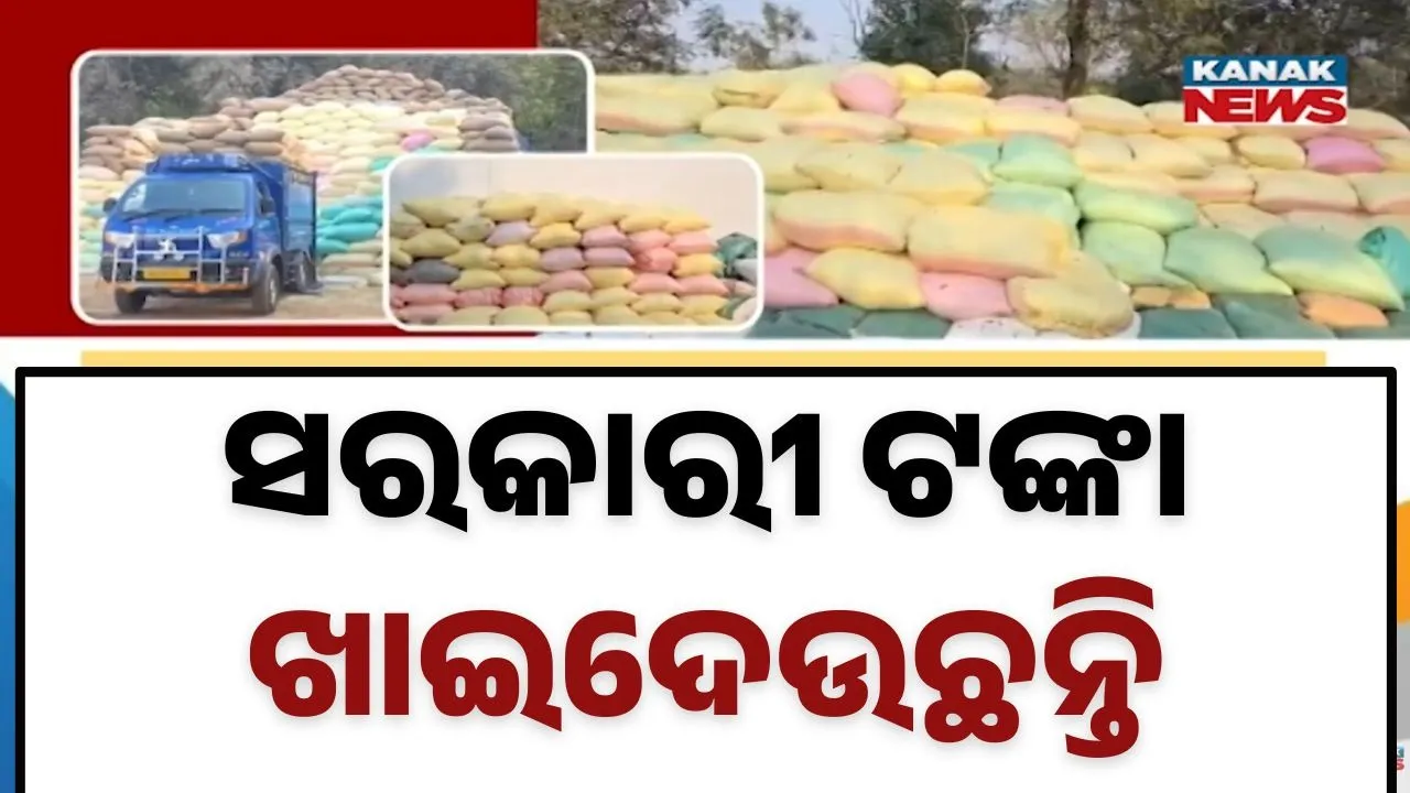  mandi Photograph: (KanakNews) 