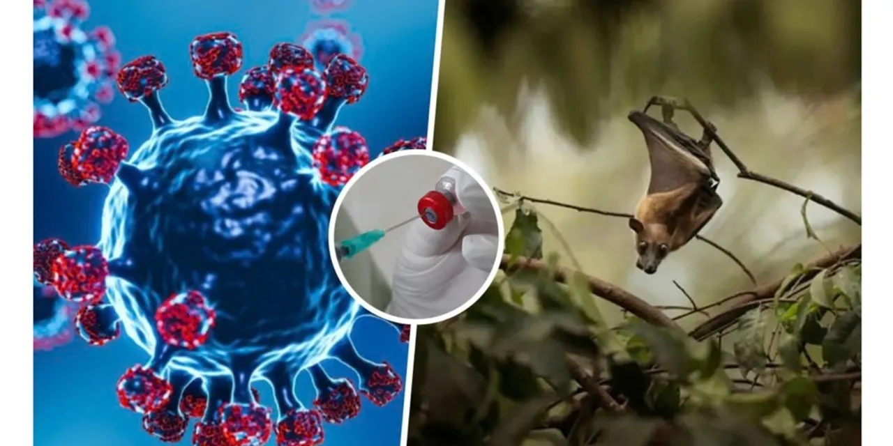  Nipah-virus Photograph: (kanak news) 