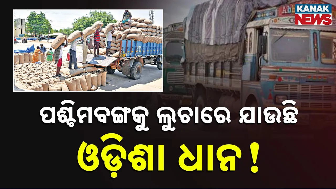  Odisha paddy Photograph: (KanakNews) 