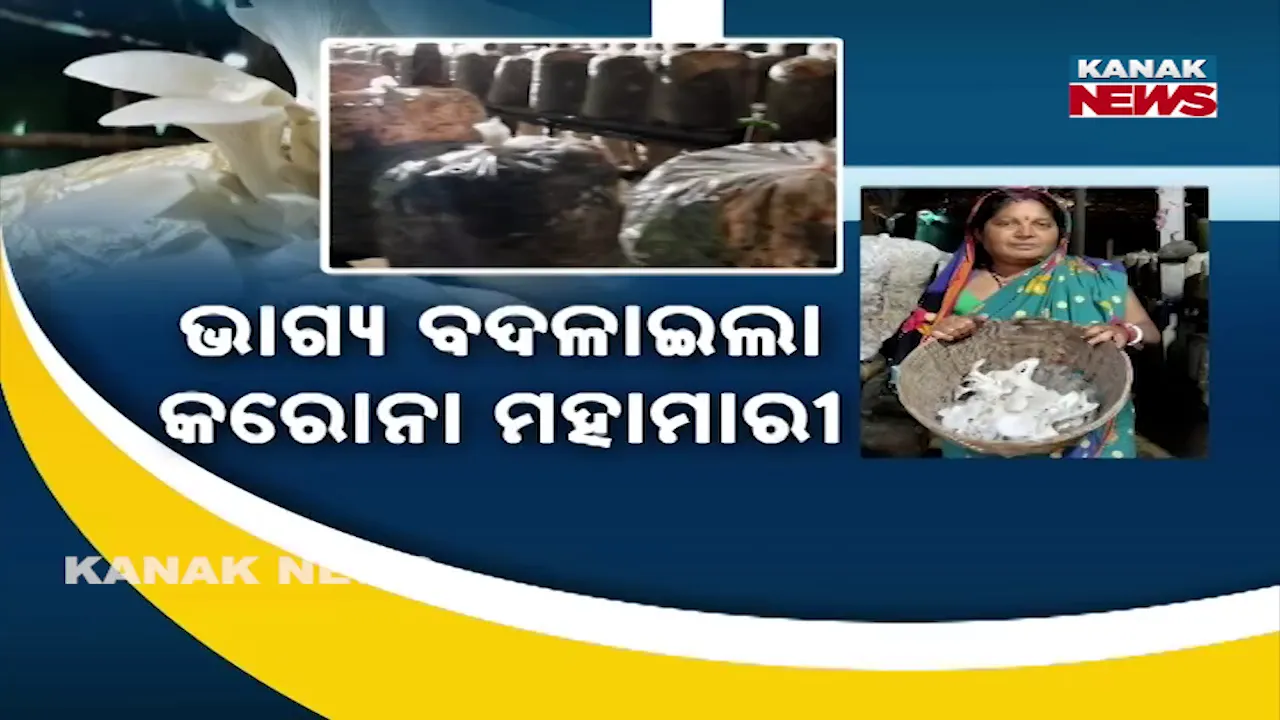  ଭାଗ୍ୟ ବଦଳାଇଲା କରୋନା ମହାମାରୀ, ଡ୍ରାଇଭର ବୃତ୍ତି ଛାଡ଼ି ବନିଗଲେ ଛତୁଚାଷୀ