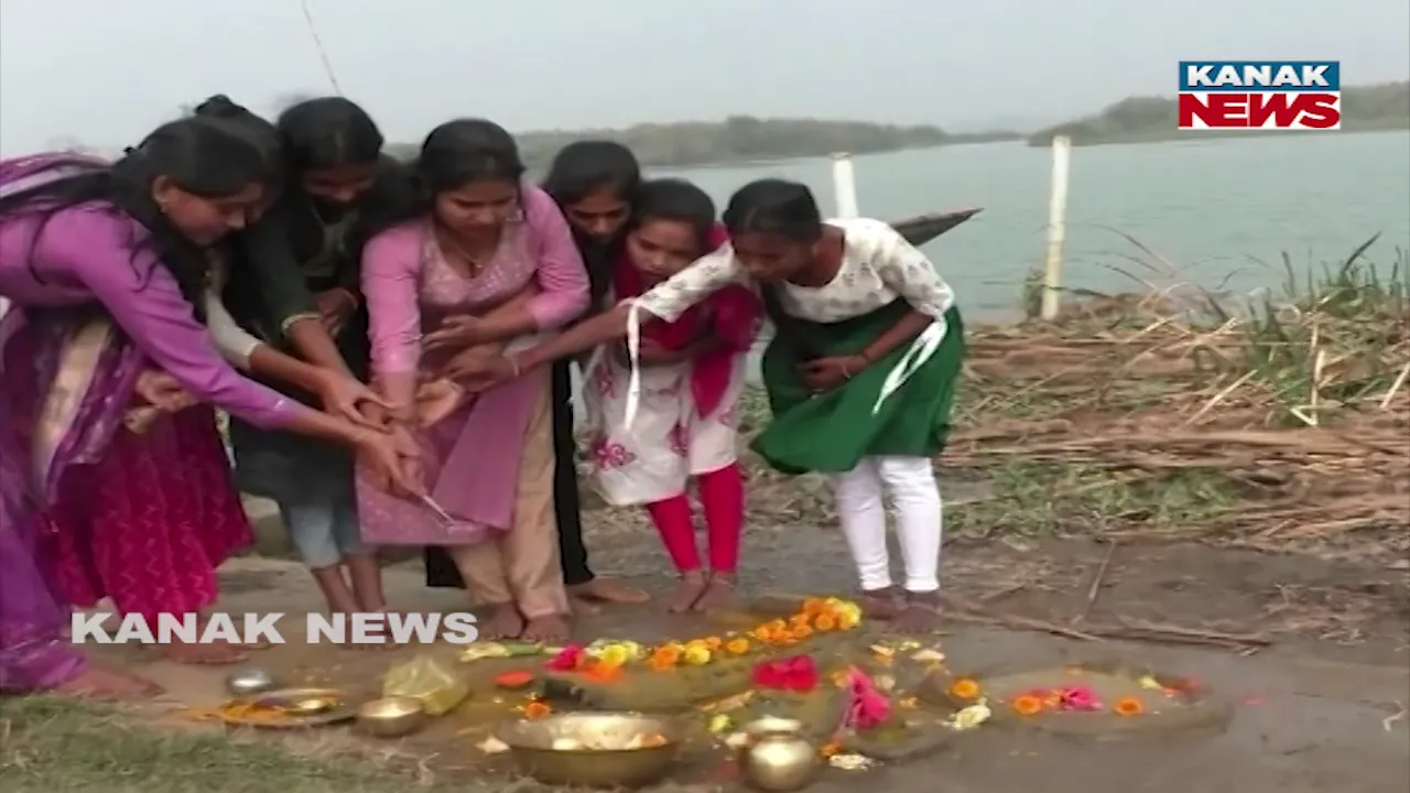  crocodile Photograph: (kanak news) 