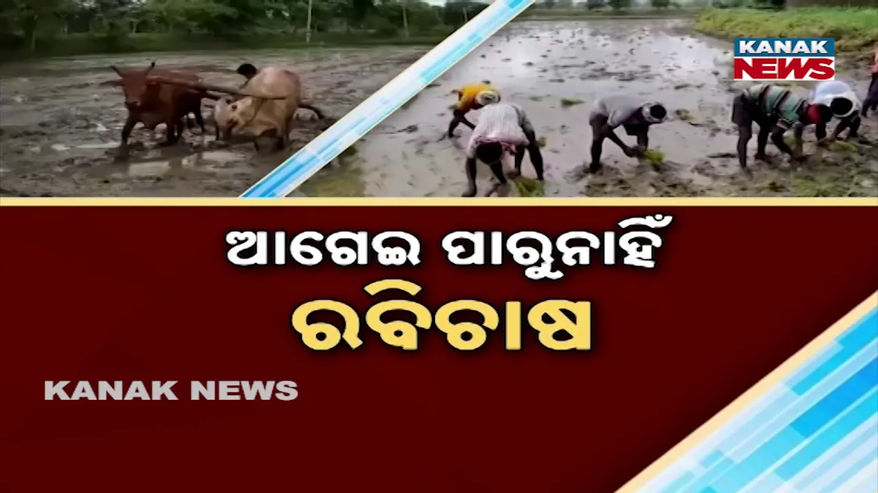  Farming Photograph: (Kanak news) 