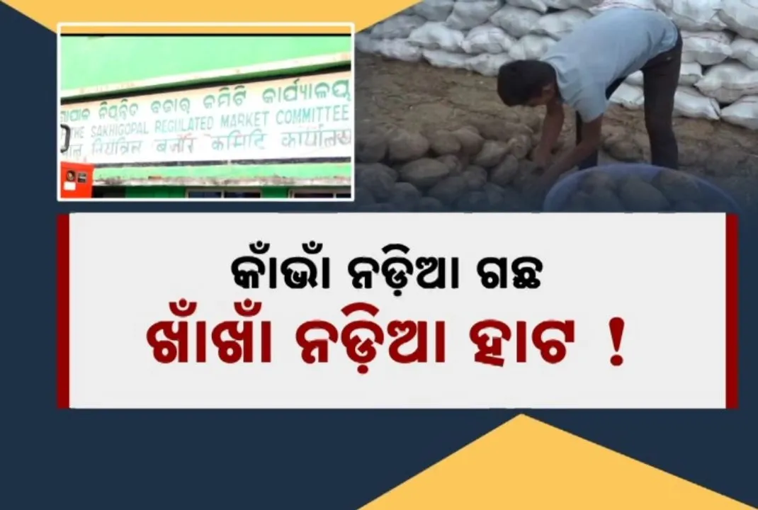  ନଡ଼ିଆ ଚାଷୀଙ୍କ ପାଇଁ କେନ୍ଦ୍ର ବଜେଟରେ ବ୍ୟବସ୍ଥା ଉପରେ ବଢ଼ିଲା ଆଶା, ହେଲେ ଗ୍ରାଉଣ୍ଡ ଜିରୋରେ ସ୍ଥିତି କହୁଛି ଅଲଗା କଥା