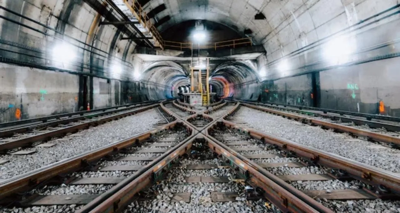  Chicken Neck Photograph: (google) 